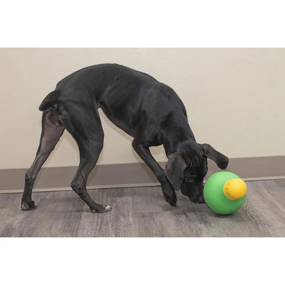 Professional Interactive Dog Treat Dispenser