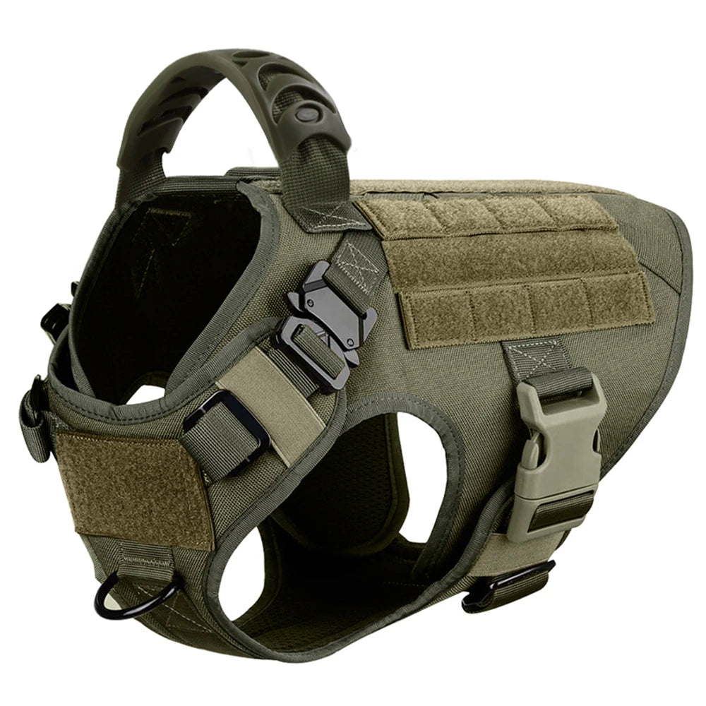 Dog Harness And Leash Set For Walking And Training