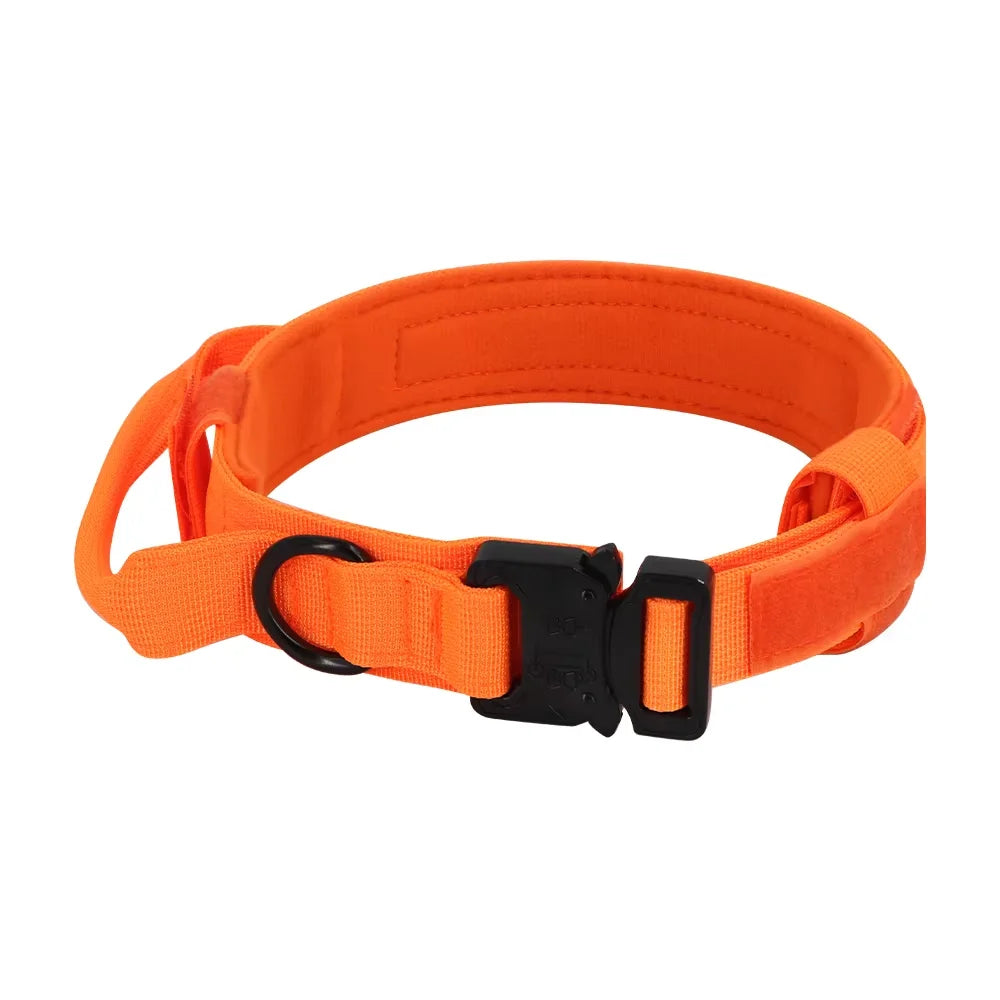 Adjustable Dog Training Collar And Leash Set With Handle