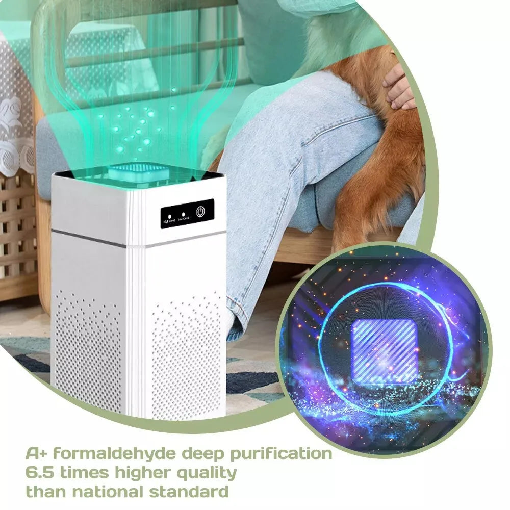 HEPA Air Purifier for Dust Smoke Odors and Allergens