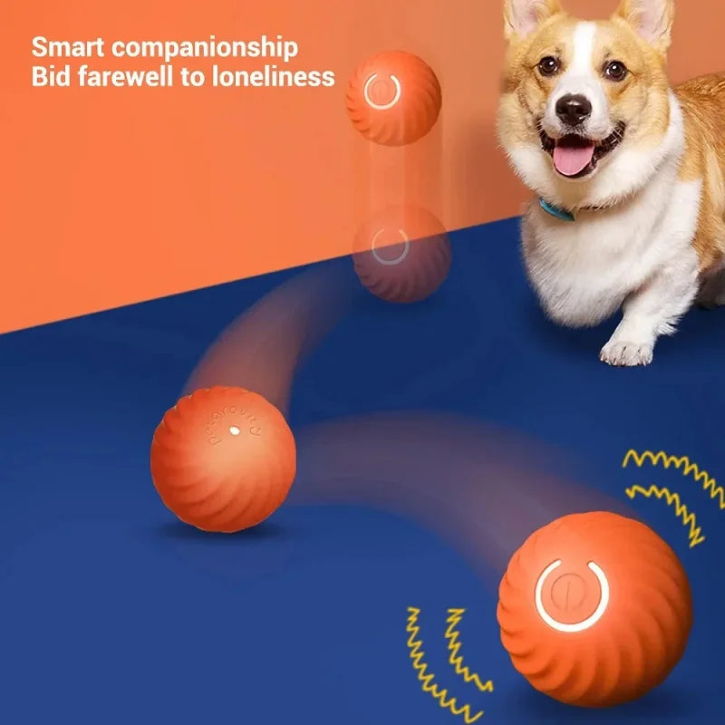 Dog Ball Automatic Moving Bouncing Rolling Ball USB Chew Toy