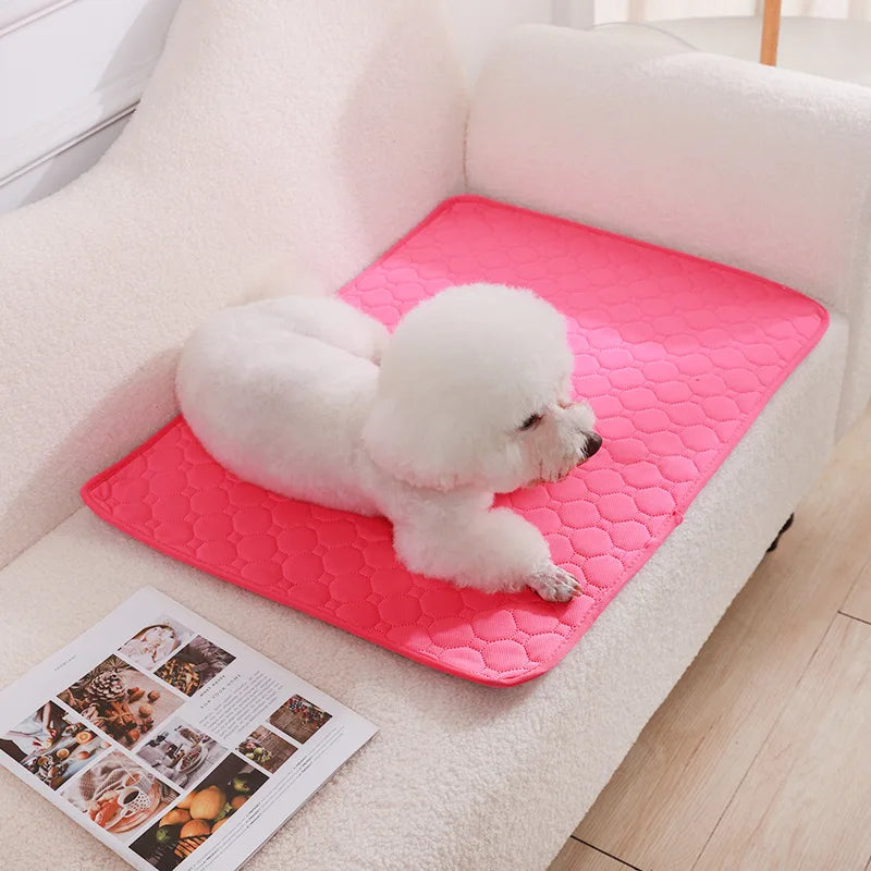 Washable Dog Pee Pad Blanket Absorbent Training Mat