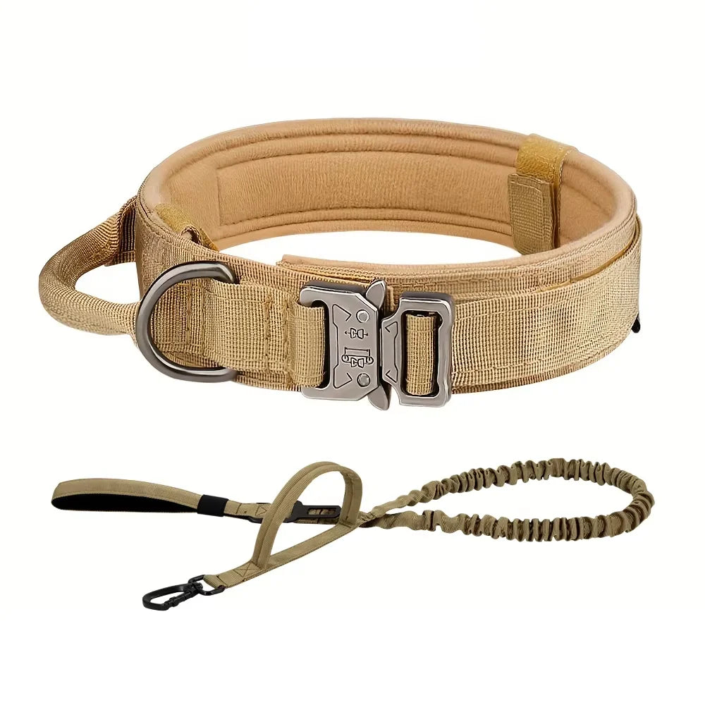 Adjustable Dog Training Collar And Leash Set With Handle