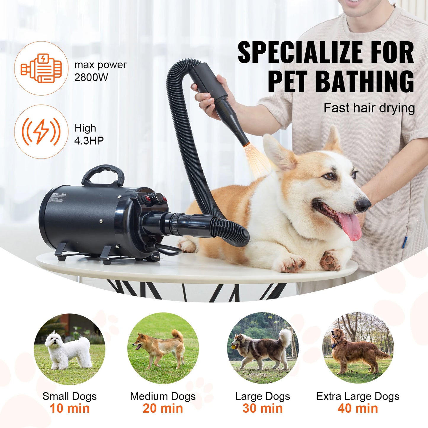 SucceBuy 2000W Dog Blow Dryer With Adjustable Speed And Hose