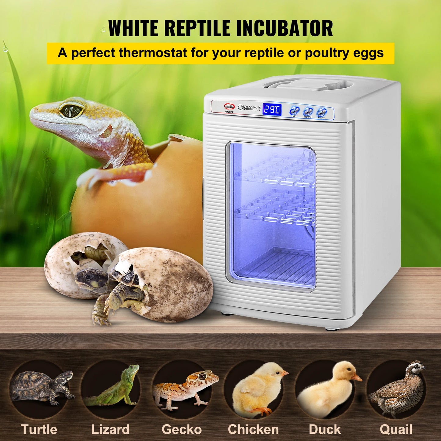 Reptile Incubator Automatic Egg Hatchery for Snakes