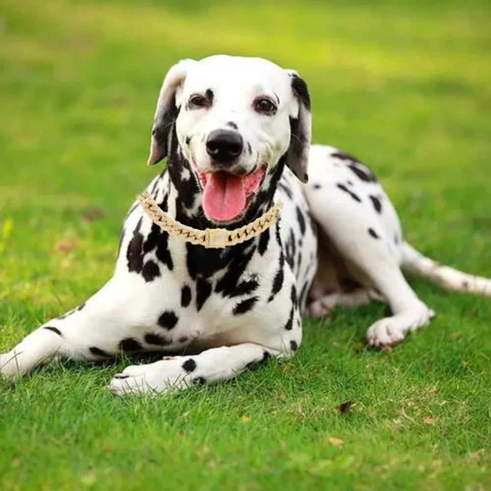 Cuban Chain Stainless Steel Dog Collar