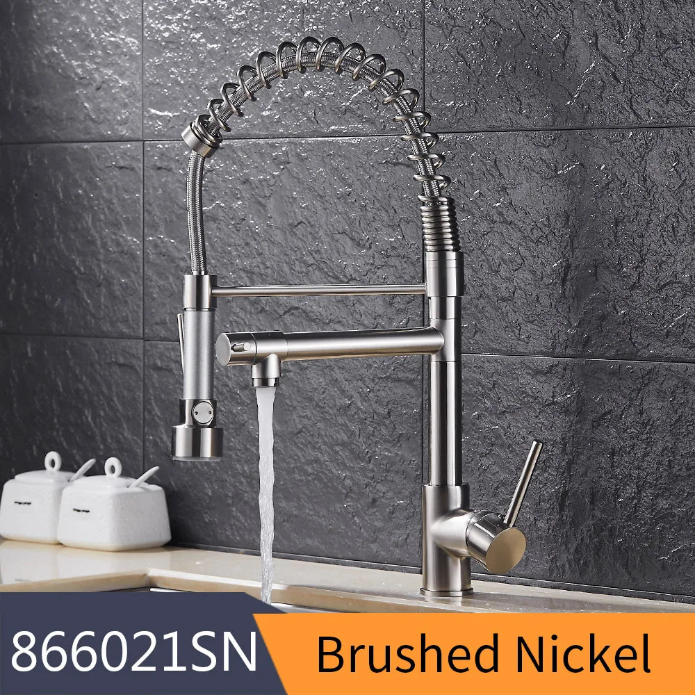 Kitchen Faucet With Single Pull Out Sprout