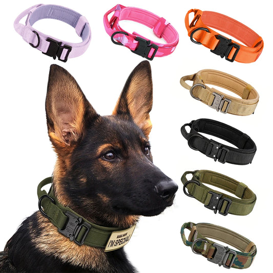 Adjustable Nylon Tactical Dog Training Collar And Leash Set