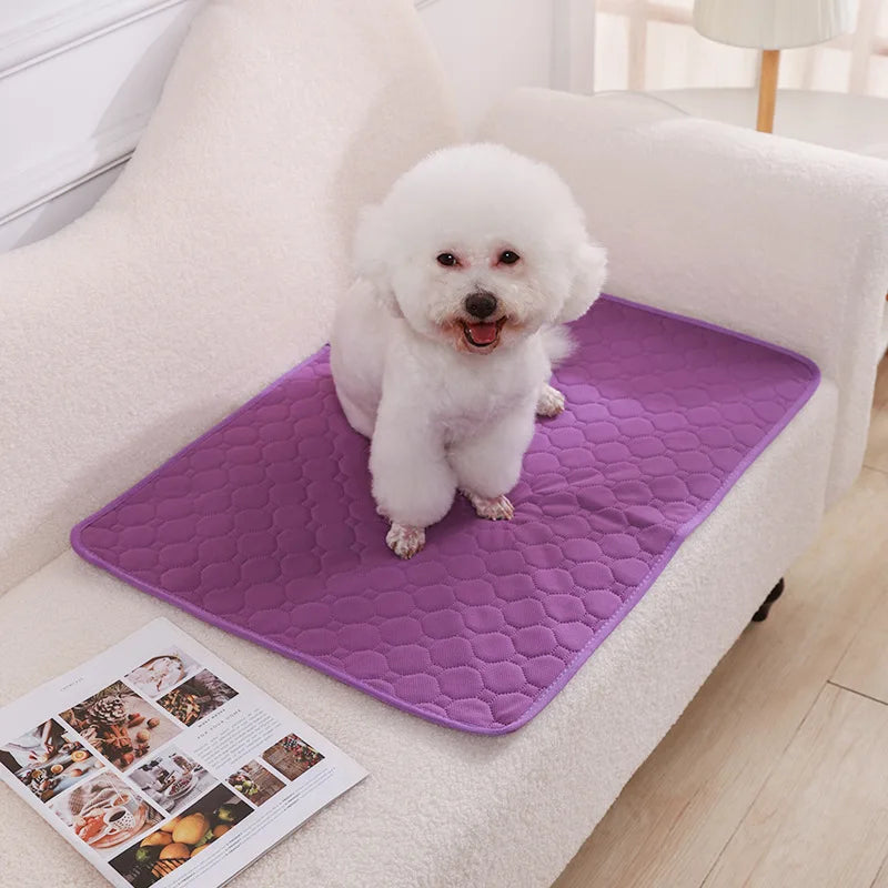 Washable Dog Pee Pad Blanket Absorbent Training Mat