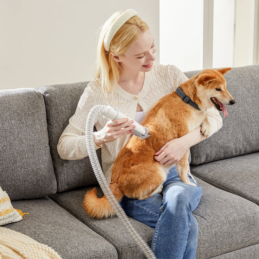 Pet Grooming Vacuum Kit With 3 Suction Modes And Tools