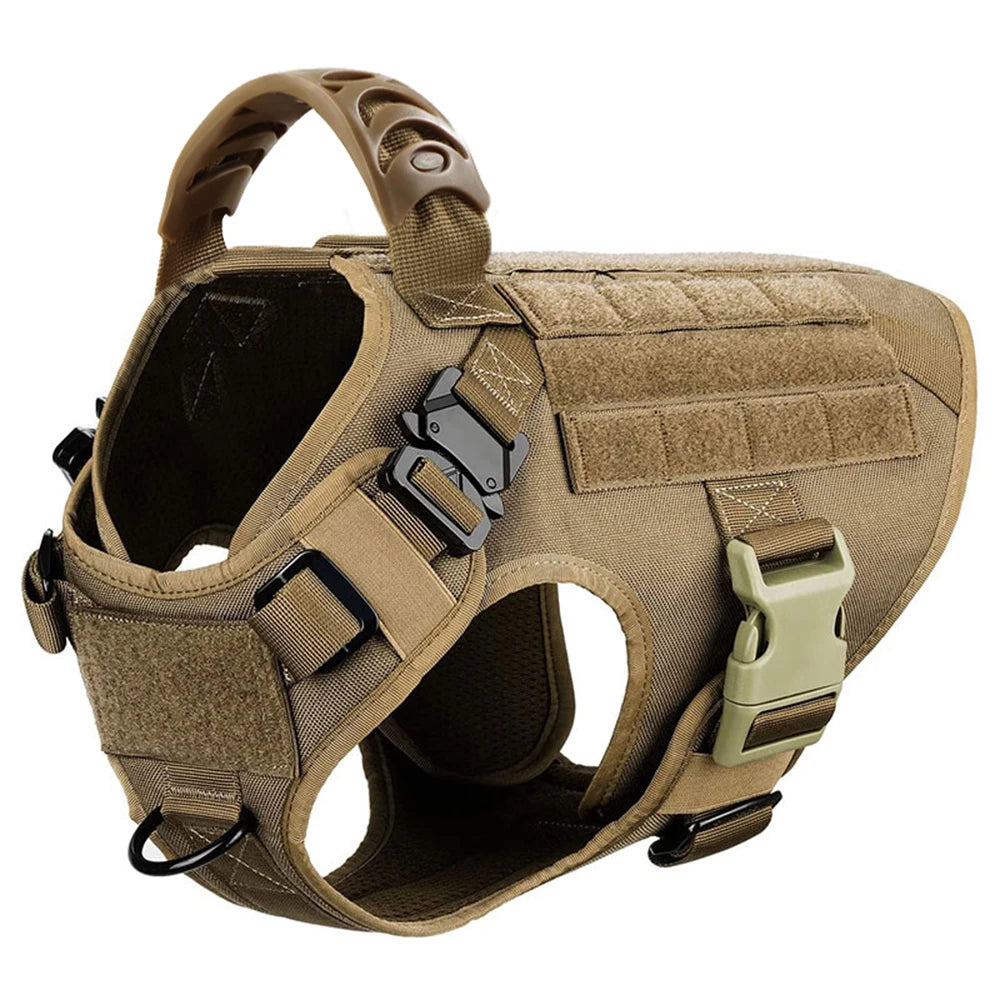 Dog Harness And Leash Set For Walking And Training