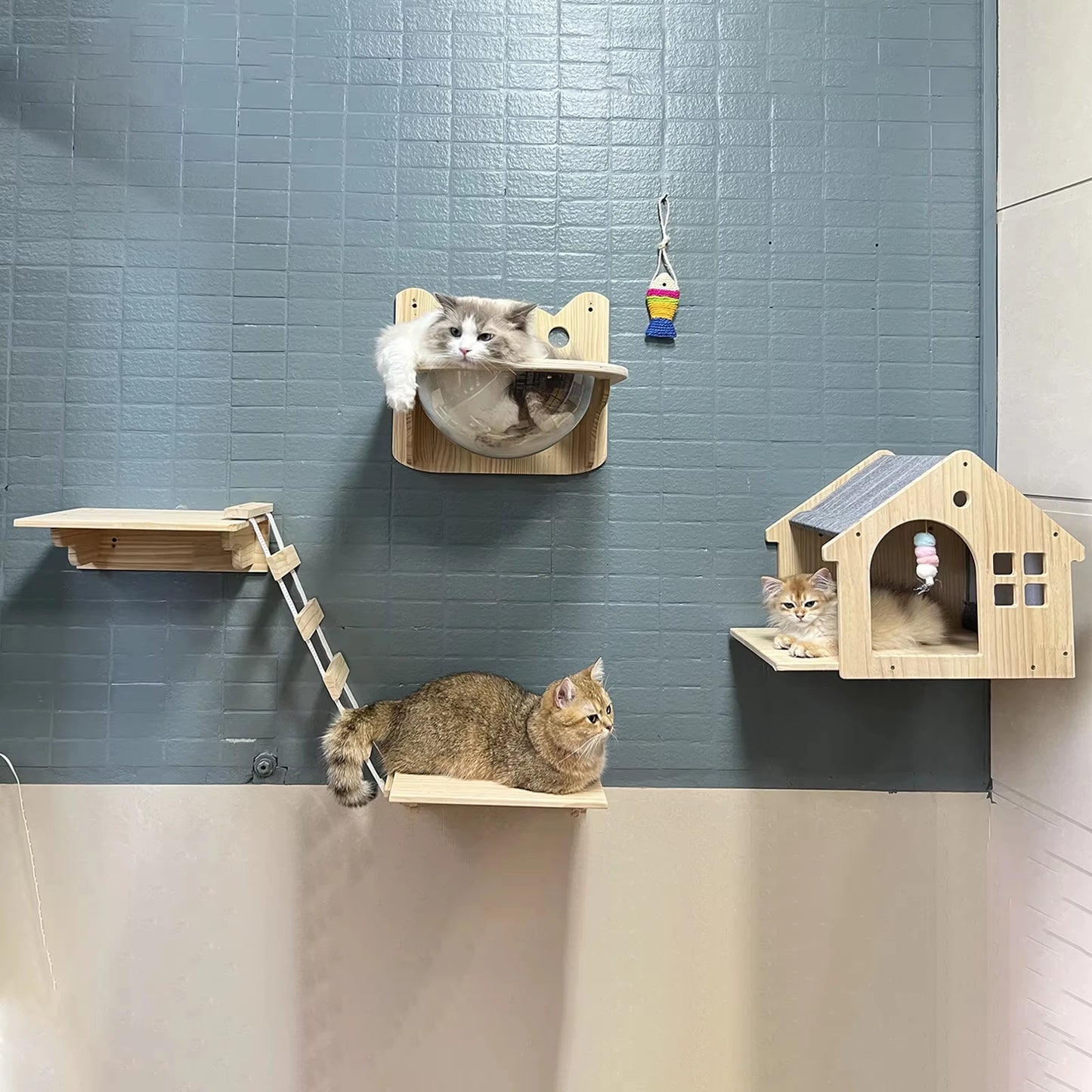 Wooden Wall Mounted Cat Condo Shelf Villa