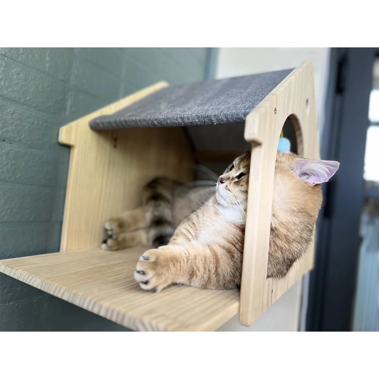 Wall Mounted Cat Condo Villa Wooden Shelf For Cats