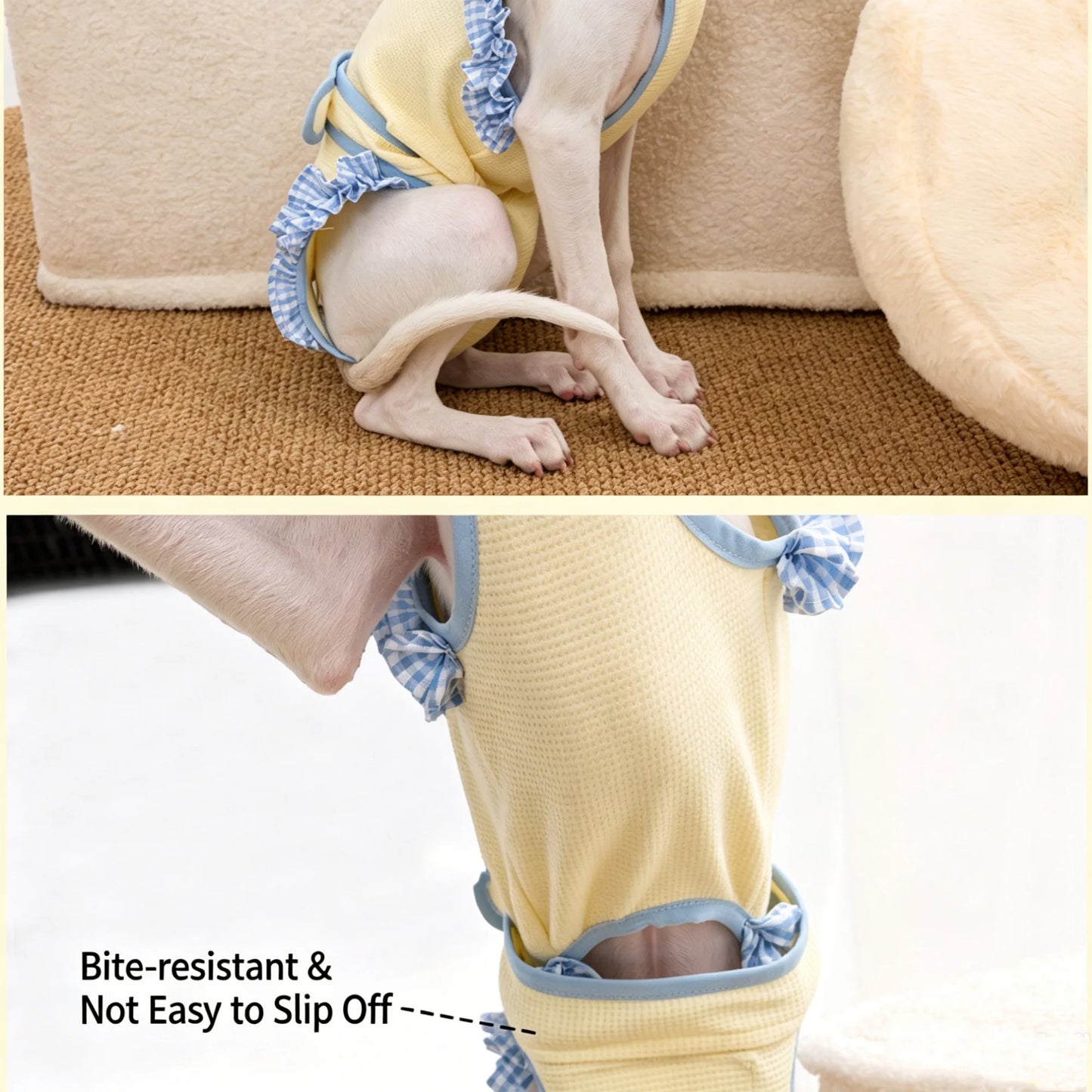 Soft Cotton Full Coverage Dog Jumpsuit For Female Dogs