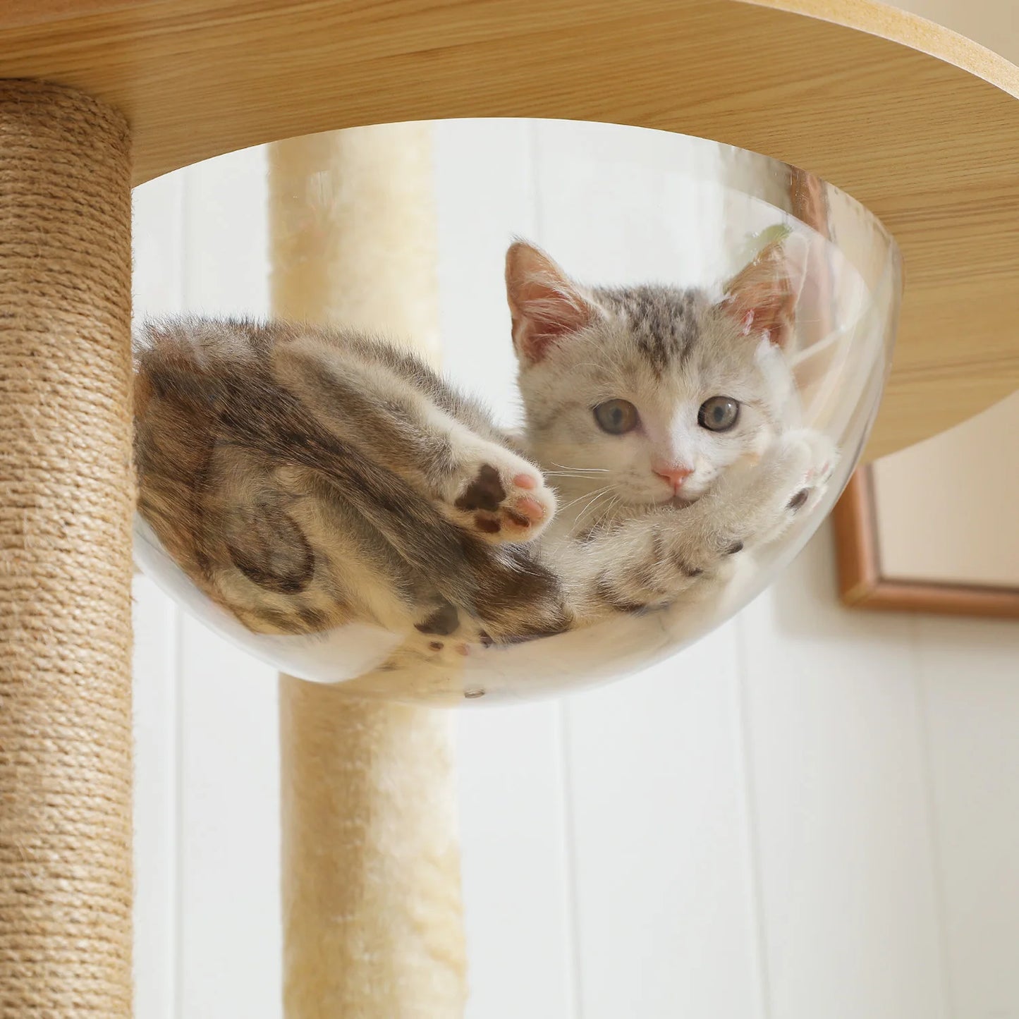 PAWZ Ro Multi Level Cat Tree Indoor Wood Tower