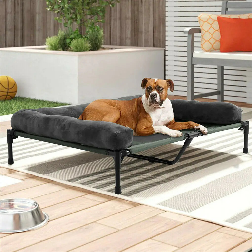 BINGOPAW Elevated Pet Bed Indoor Outdoor Lounger