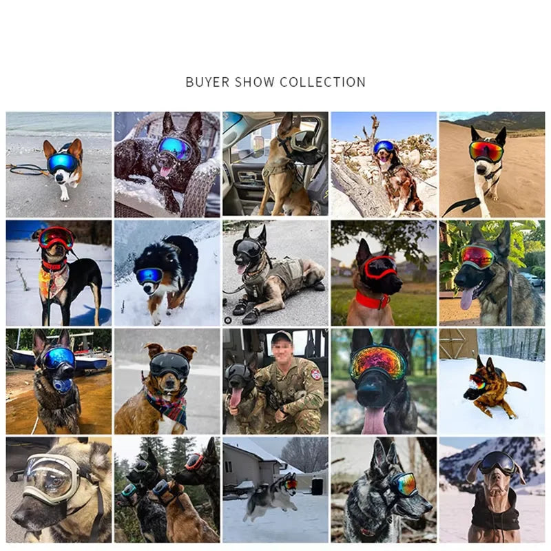 Dog UV Protective Goggles For Travel And Windproof Eyewear