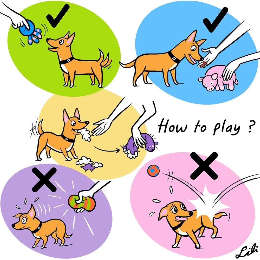 Soft Latex Squeaky Dog Ball Interactive Puppy Toy