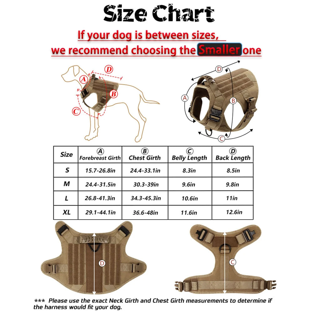 Dog Harness And Leash Set For Walking And Training