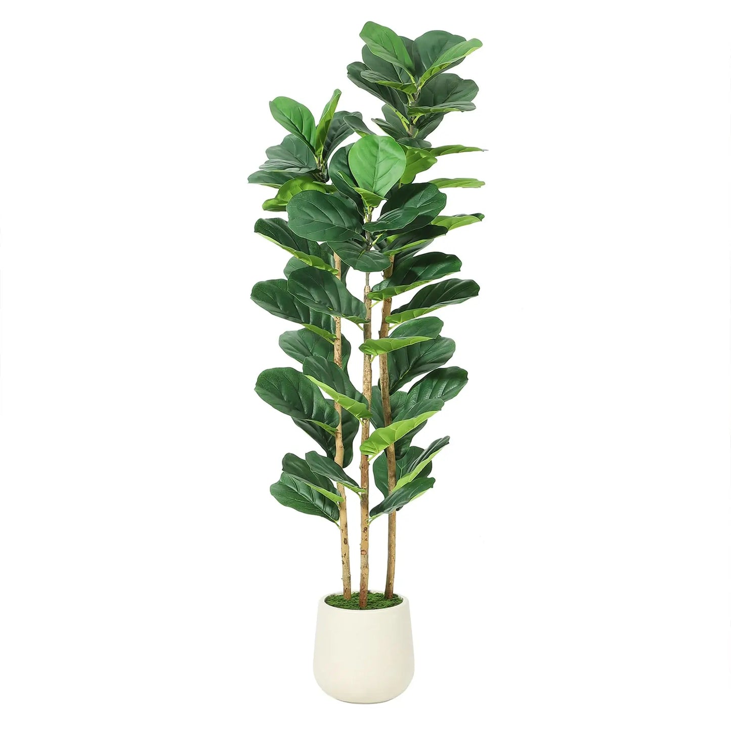 Fiddle Leaf Fig Artificial Tree In White Planter