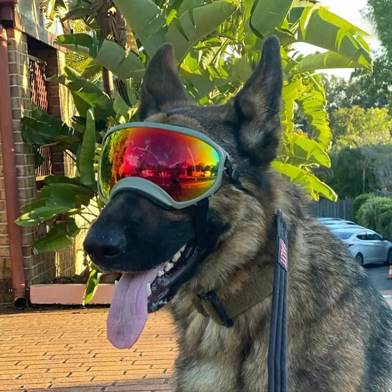 Dog UV Protective Goggles For Travel And Windproof Eyewear