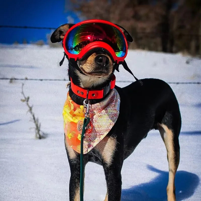 Dog UV Protective Goggles For Travel And Windproof Eyewear