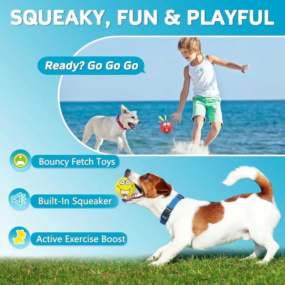 Four Pack Squeaky Dog Ball Toys For Puppies