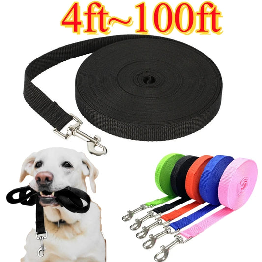 Durable Nylon Dog Leash For All Dogs Outdoors