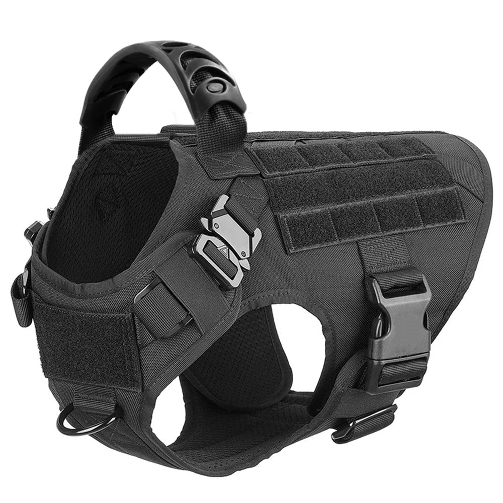 Dog Harness And Leash Set For Walking And Training