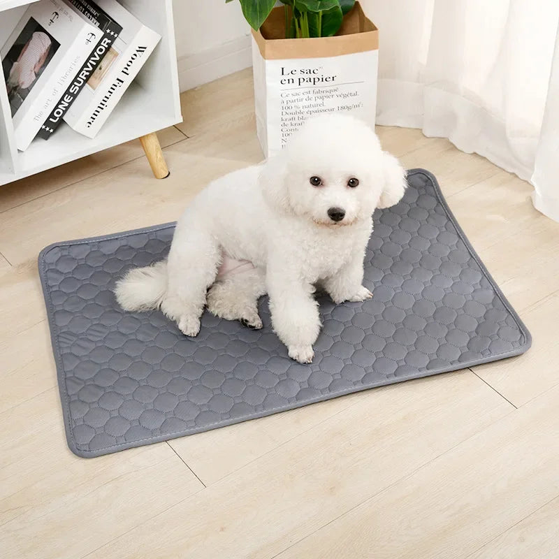 Washable Dog Pee Pad Blanket Absorbent Training Mat