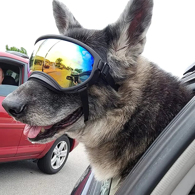 Dog UV Protective Goggles For Travel And Windproof Eyewear