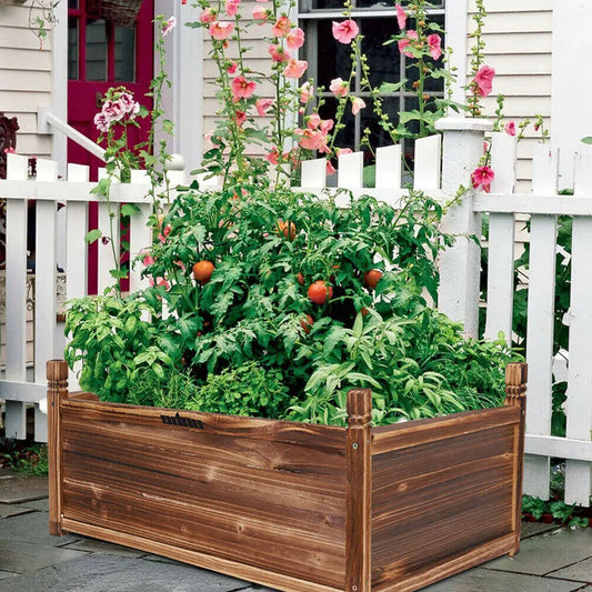 Outdoor Wooden Raised Garden Bed for Flowers and Vegetables