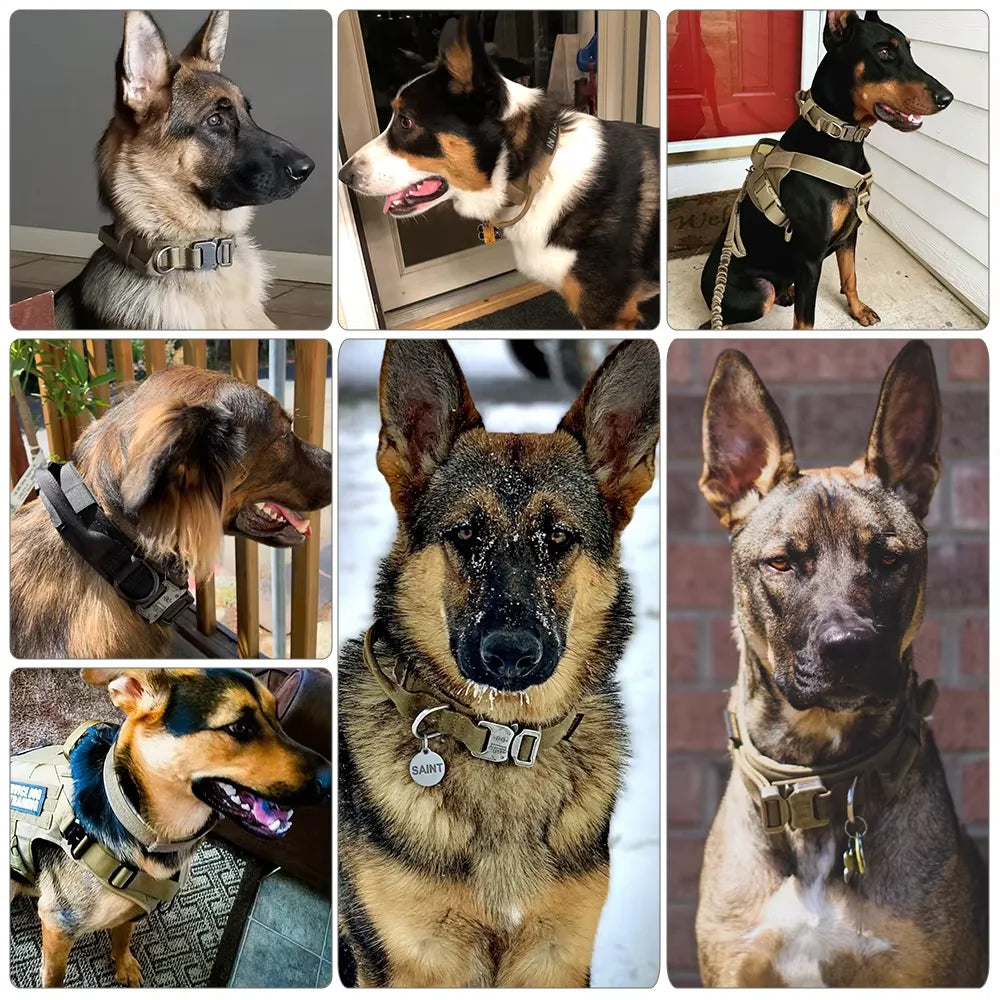 Adjustable Dog Training Collar And Leash Set With Handle