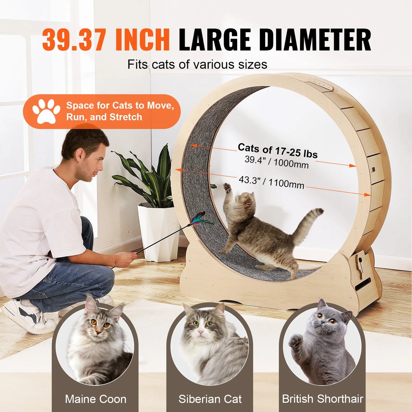 Wooden Cat Exercise Wheel For Indoor Cats
