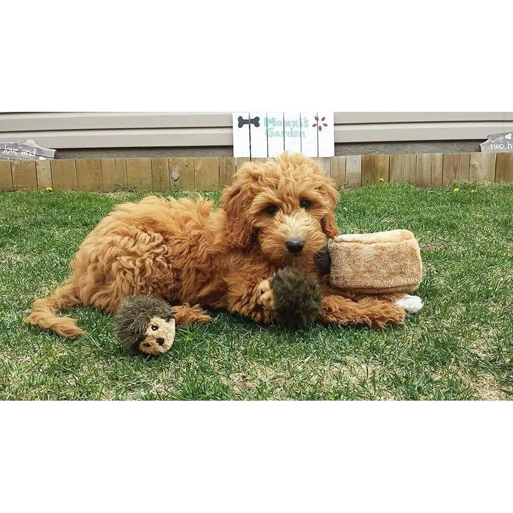 Burrow Replacement Miniz Interactive Squeaky Dog Toy