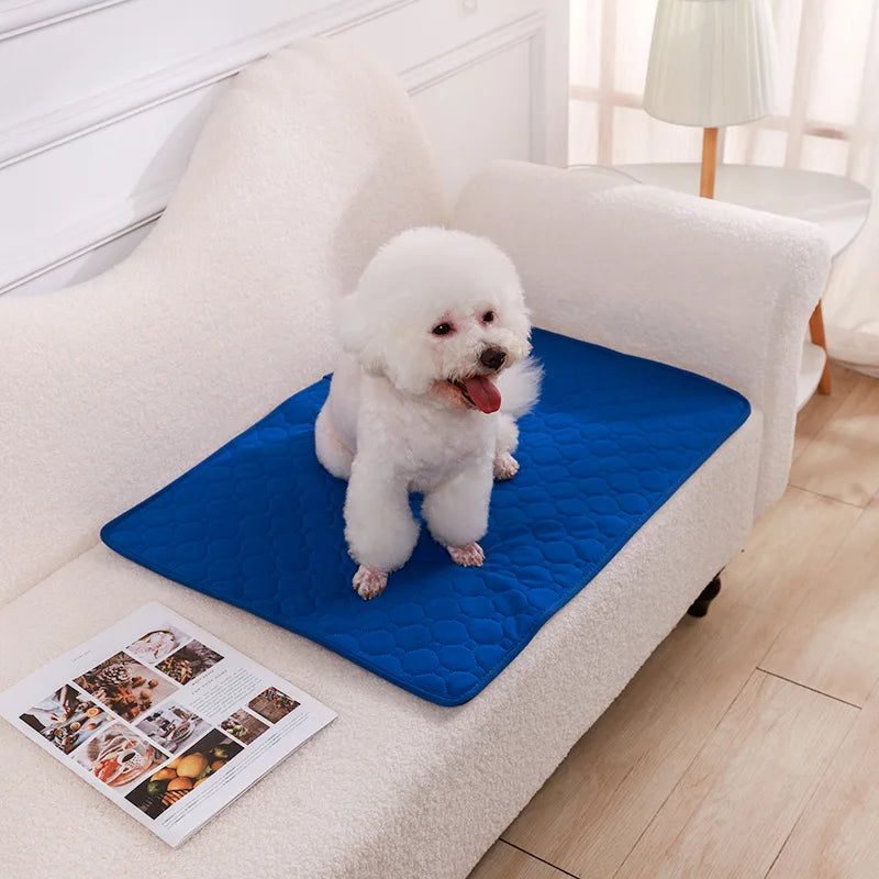 Washable Dog Pee Pad Blanket Absorbent Training Mat