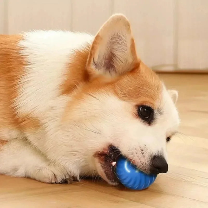 Dog Ball Automatic Moving Bouncing Rolling Ball USB Chew Toy