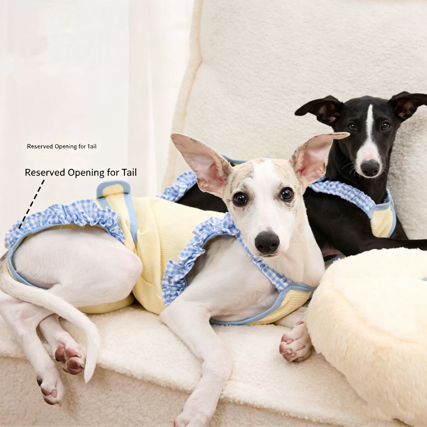 Soft Cotton Full Coverage Dog Jumpsuit For Female Dogs