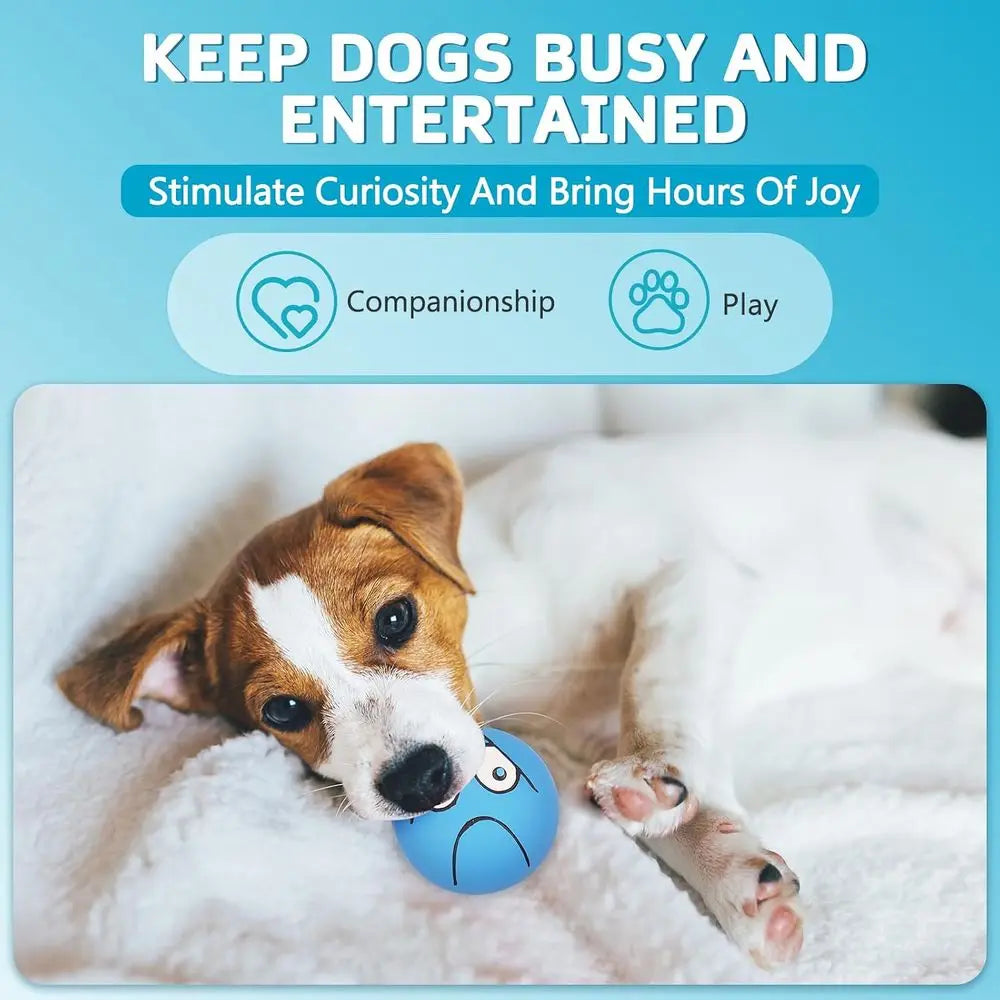 Four Pack Squeaky Dog Ball Toys For Puppies