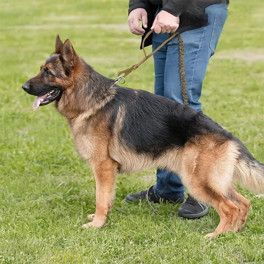Military Dog Leash With Elastic Rope And Quick Release