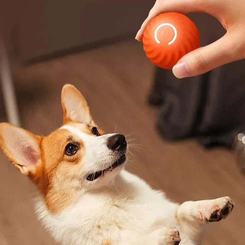 Dog Ball Automatic Moving Bouncing Rolling Ball USB Chew Toy