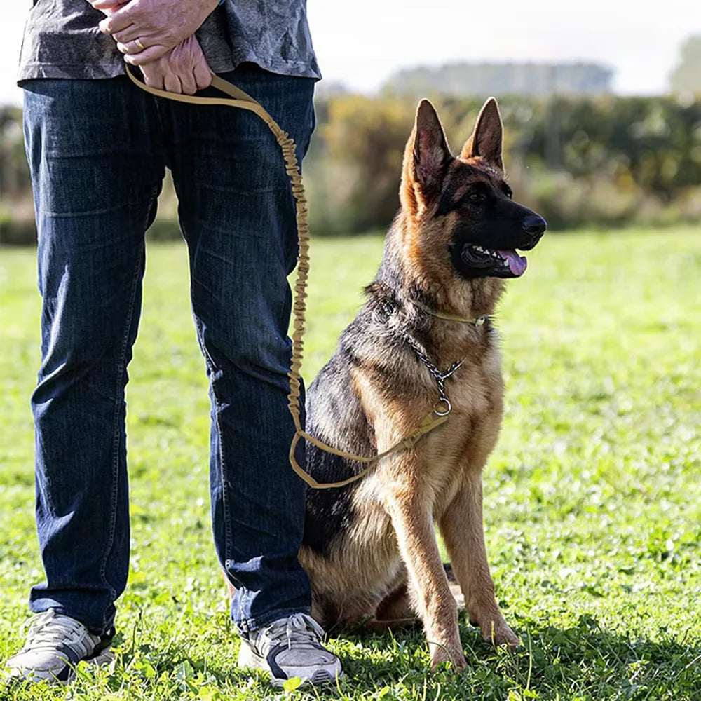 Military Dog Leash With Elastic Rope And Quick Release