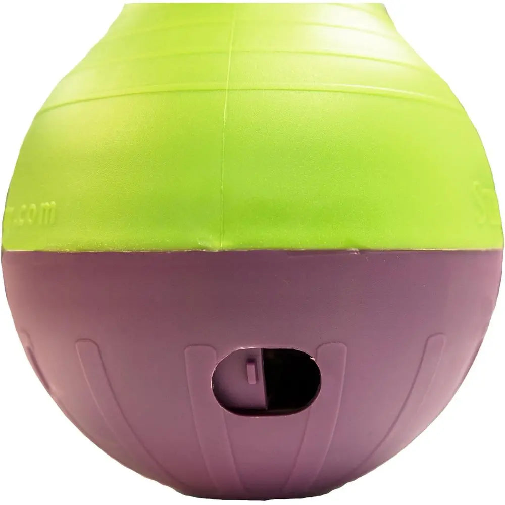 Professional Interactive Dog Treat Dispenser