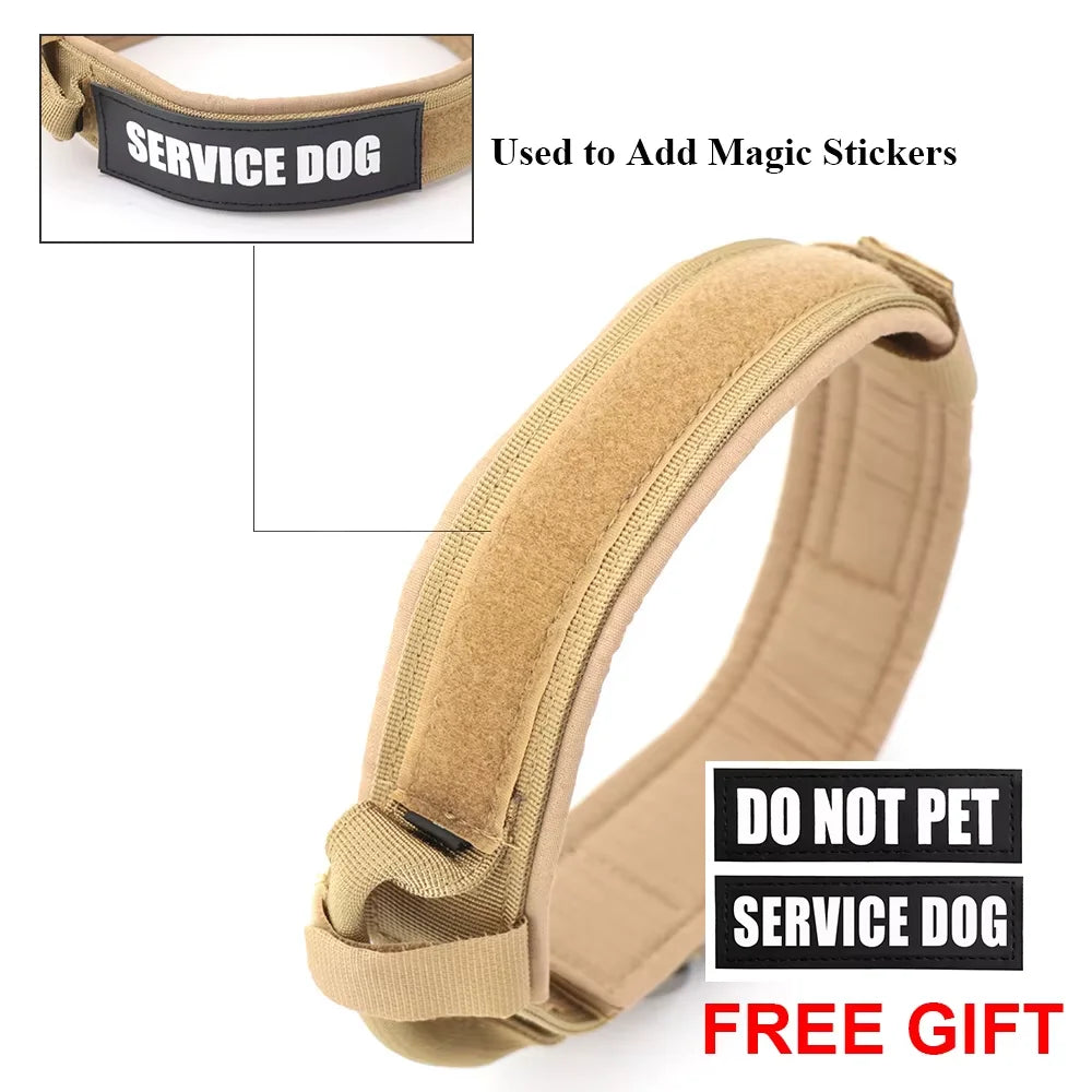 Adjustable Dog Training Collar And Leash Set With Handle